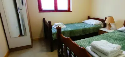 a bedroom with two beds with green sheets and a window at Apartmani Vujanac in Kopaonik