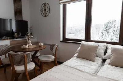 a living room with a couch and a table at Glečer Kop, Apartment A14, FREE Parking Garage in Kopaonik