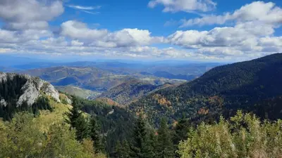 a view of a valley with trees and mountains at Pogled Apartman Kopaonik in Kopaonik