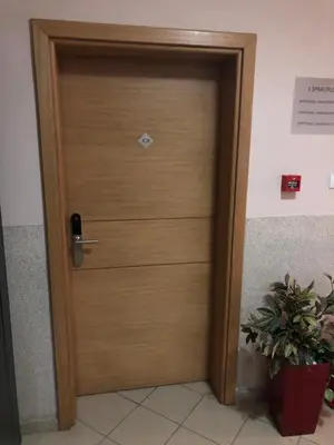 a wooden door in a room with a plant at Kop apartman I01 in Kopaonik