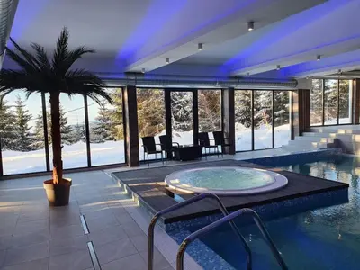 a house with a pool with a palm tree in it at Sunčani breg resort & spa in Kopaonik
