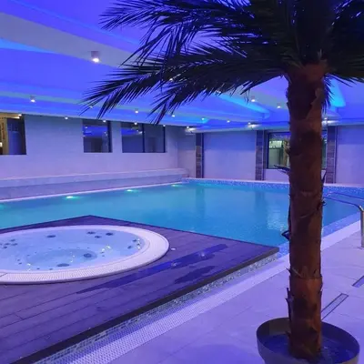 a palm tree sitting next to a swimming pool at Sunčani breg resort & spa in Kopaonik