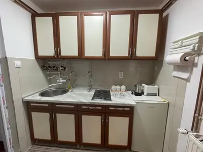 Gallery image of Lazin Apartman in Kopaonik