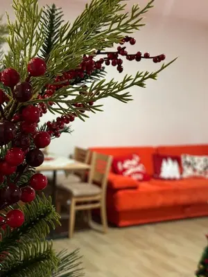 a christmas tree in a living room with a red couch at Silver Pine Kopaonik in Kopaonik