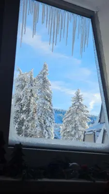a view of snow covered trees from a window at Silver Pine Kopaonik in Kopaonik