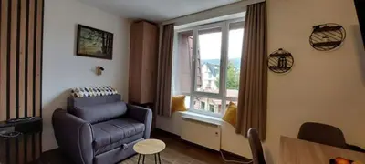 a living room with a chair and a window at Apartman Jovanovic,Kopaonik in Kopaonik