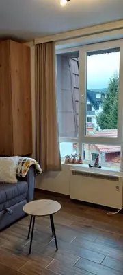 a living room with a couch and a large window at Apartman Jovanovic,Kopaonik in Kopaonik