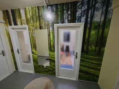 a room with two doors and a forest mural at Apartman Stanimirović 3 in Zaječar