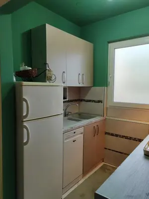 a kitchen with green walls and a white refrigerator at Apartman Stanimirović 3 in Zaječar
