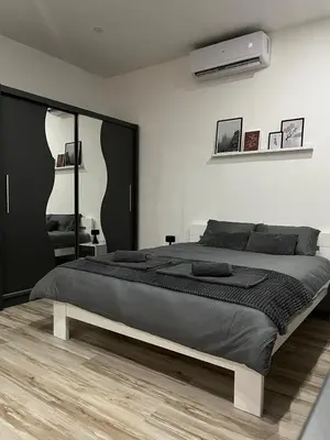 a bedroom with a large bed and a mirror at Central Apartments in Zaječar