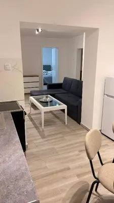 a living room with a couch and a table at Central Apartments in Zaječar