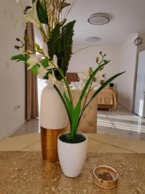 a plant in a white pot sitting on a table at DINA LUX Apartman in Jagodina
