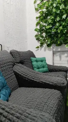 a couch with two green pillows sitting next to a plant at Lela's home (Lelin dom) in Knjazevac.