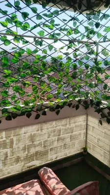 a glass roof with a plant hanging from it at Lela's home (Lelin dom) in Knjazevac.