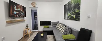 a living room with a couch and a tv at Anikaapartmani, Brzeće in Brzeće
