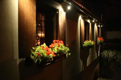 two potted plants on the side of a building with lights at B&B Galerija Two Rooms in Paraćin