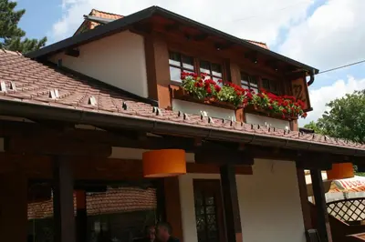 a building with flower boxes on top of it at B&B Galerija Two Rooms in Paraćin