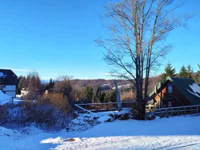 a log cabin in the snow with a tree at FlowHouse - cozy place for you. in Kopaonik