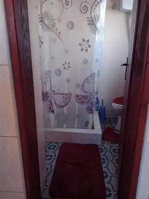 a bathroom with a shower curtain and a toilet at Apartman Nedeljković in Vrnjačka Banja