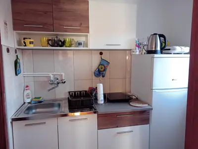 a small kitchen with a sink and a refrigerator at Apartman Nedeljković in Vrnjačka Banja