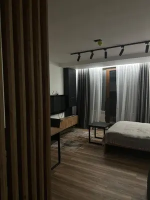 a bedroom with a bed and a desk and a television at Apartment KopaLux in Kopaonik