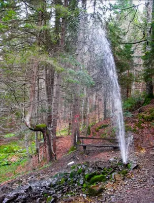 a park bench in the woods with a fountain at Studio Pablo Vila Bela Reka in Brzeće