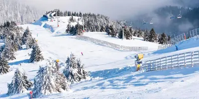 a person riding a snowboard down a snow covered slope at Studio Joanna Vila Bela Reka in Brzeće