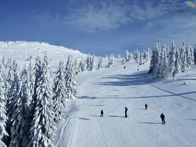 a group of people skiing down a snow covered slope at Studio Joanna Vila Bela Reka in Brzeće