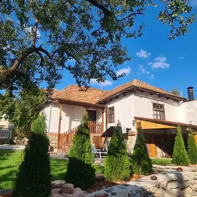 Vila Antić