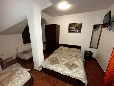 Gallery image of Vila Dukat Stara Planina in Crni Vrh