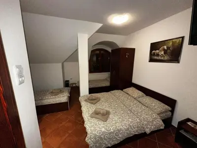 Gallery image of Vila Dukat Stara Planina in Crni Vrh
