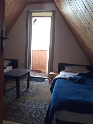 a bedroom with a bed and a window with a door at KopanikSkiRooms15e in Kopaonik