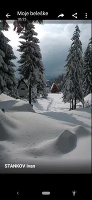 a picture of a snow covered field with trees at KopanikSkiRooms15e in Kopaonik