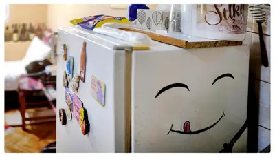 a white refrigerator with a face drawn on it at Zvezdano nebo in Svrljig