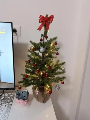 a christmas tree in a vase on a desk at Crnjanski Paun L in Jagodina
