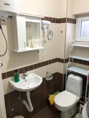 a bathroom with a toilet and a sink at LOVE apartman JeLEna in Brzeće