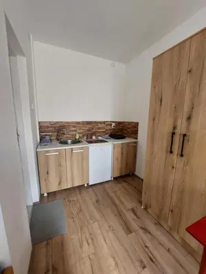 a kitchen with a sink and a wooden door at Apartmani Popović in Knjazevac.