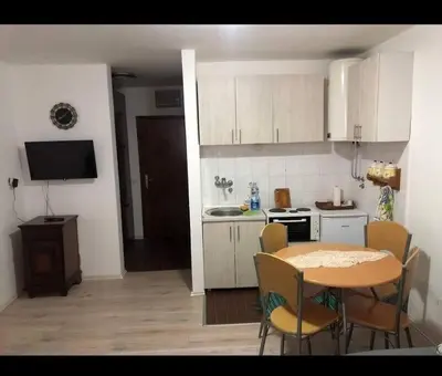 a small kitchen with a table and chairs in a kitchen at Apartman Ema,Bela Reka,Brzece in Brzeće
