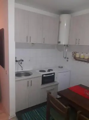 a small kitchen with a sink and a stove at Apartman Ema,Bela Reka,Brzece in Brzeće