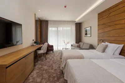 Gallery image of Hotel Biogor Wellness & Spa in Sisevac