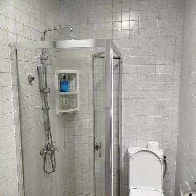 a bathroom with a shower and a toilet in it at Cera luxe apartment in Soko Banja