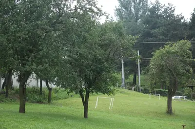 a field with trees and a soccer goal at Vip Villa Jagodina - Jakuzzi is free - Private parking is free - Beautiful view of nature in Jagodina