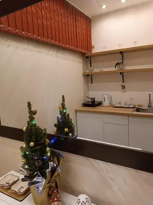 a small christmas tree on a counter in a kitchen at M Central Park in Niš
