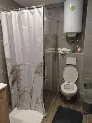 a bathroom with a shower with a toilet at President Kop Paxson in Kopaonik