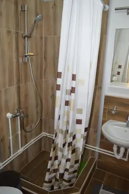 a bathroom with a shower and a sink at Kuca Rancic in Pirot