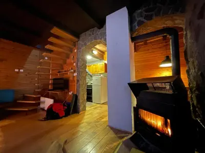 a living room with a fireplace and a kitchen at Planinska kuća Savić, Kopaonik in Kopaonik