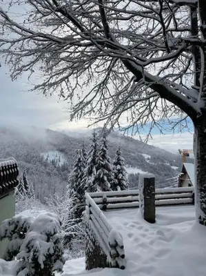 a bench covered in snow next to a tree at Planinska kuća Savić, Kopaonik in Kopaonik