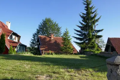 a yard with two houses and a pine tree at Planinska kuća Savić, Kopaonik in Kopaonik