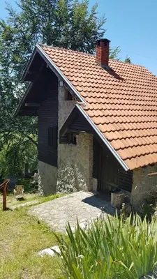a house with a red roof and a yard at Planinska kuća Savić, Kopaonik in Kopaonik