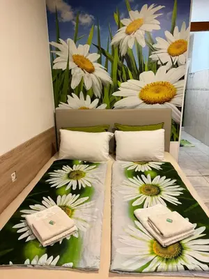 two beds in a room with daisies on the wall at Nela Apartmani in Niš
